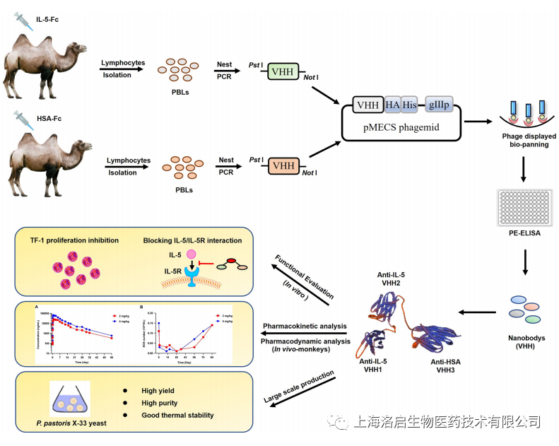 1670588225504467.png f91d5b367a9c78897241af2ebdb15cc4.png