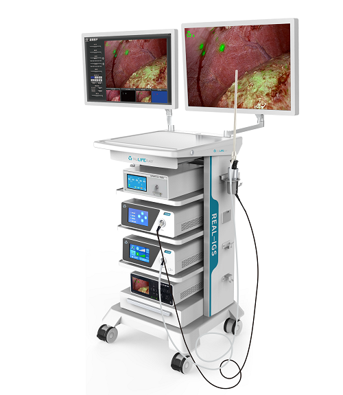 1670588318287693.png b41a2fedc728ea803e9b9b04203cfe64.png