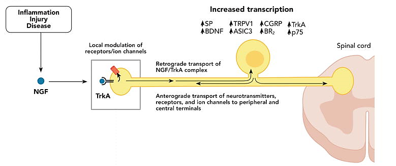 1675323804249076.png 2589dc5556447f59892d777b79258c6a.png