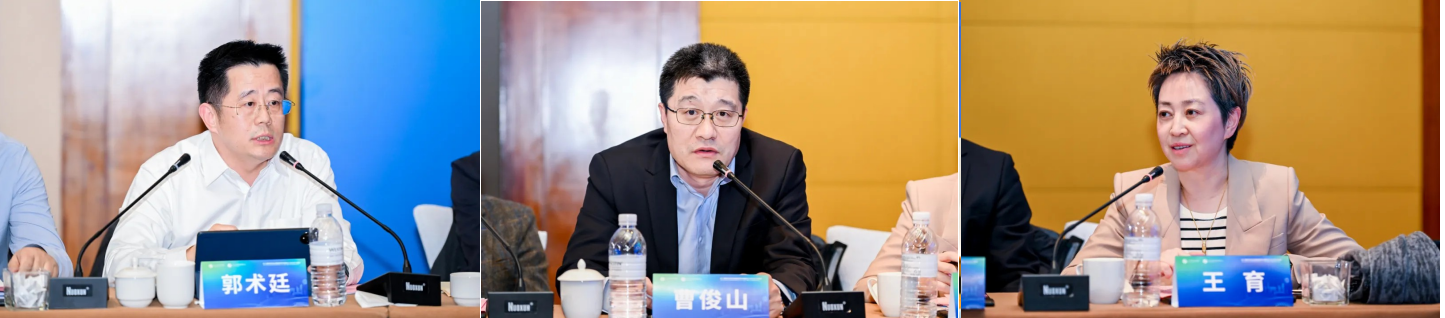 1735985016811066.png 1735985016811066.png