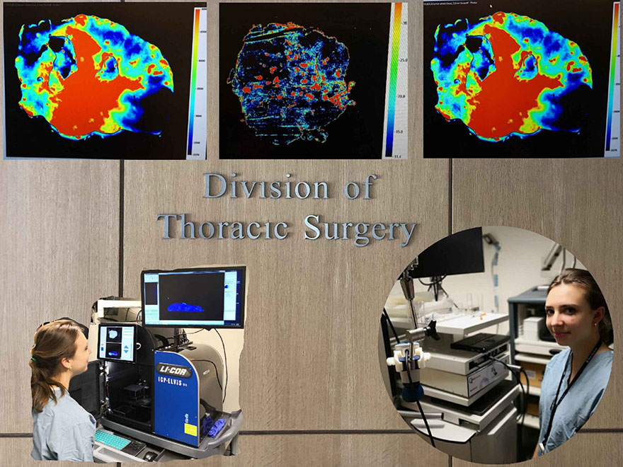 1736930957770645.jpg 2d2fa201acbd5351e2564b18c750febd.jpg