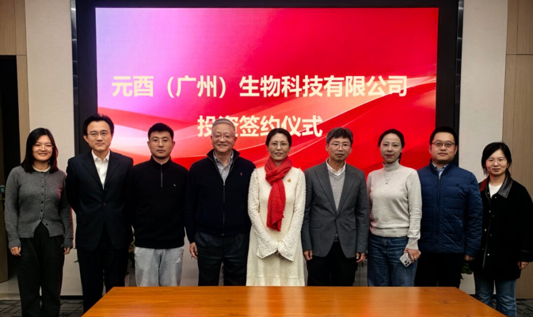 1767256918381339.jpg 1767256918381339.jpg